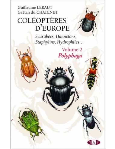 Coléoptères d'Europe, Scarabées, Hannetons, Staphylins, Volume 2 - Polyphaga