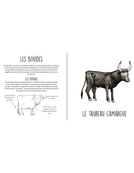 Les animaux agricoles