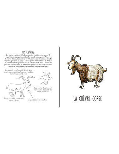 Les animaux agricoles