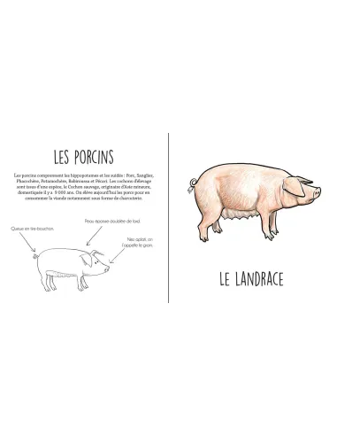 Les animaux agricoles