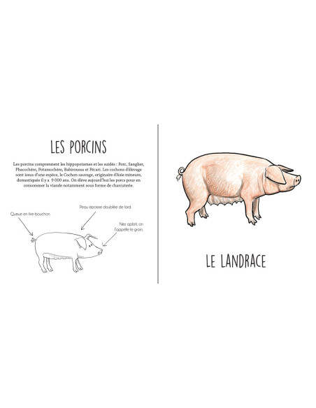 Les animaux agricoles