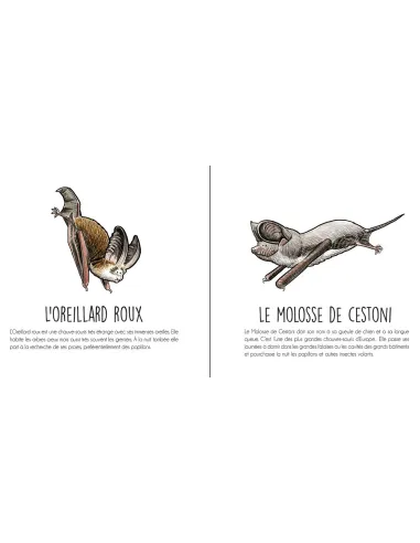 Les animaux agricoles