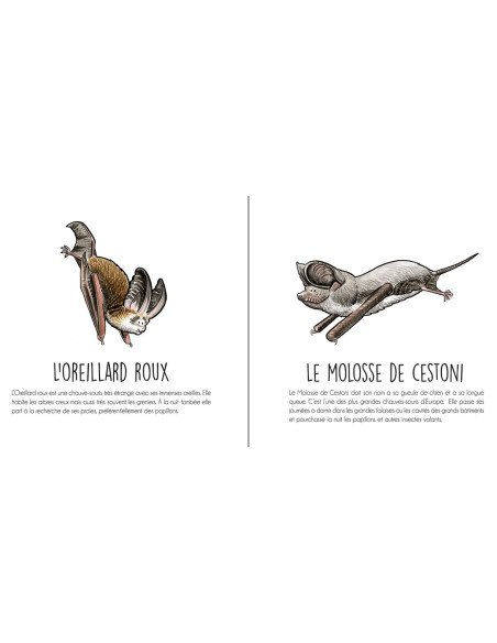 Les animaux agricoles