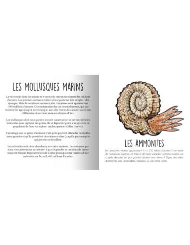 Les animaux préhistoriques du sud de...