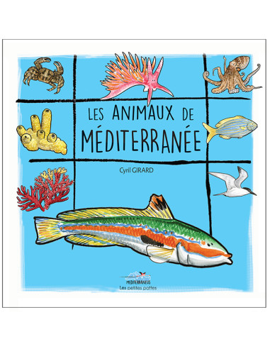 Les animaux de la Méditerranée