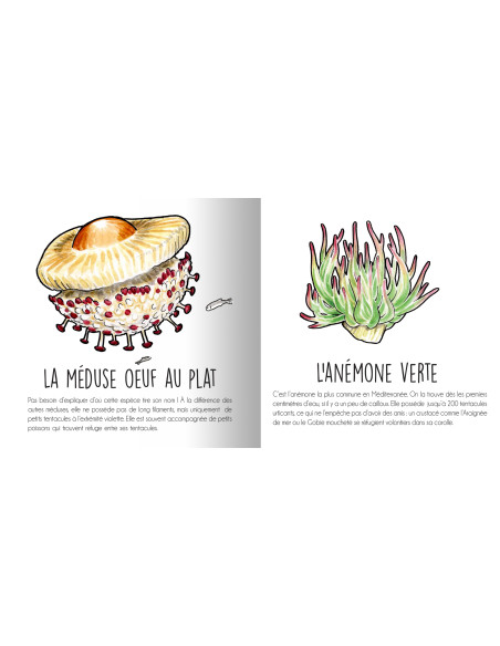 Les animaux de la Méditerranée