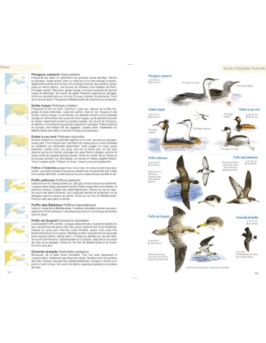 Guide illustré de la faune de...