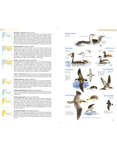 Guide illustré de la faune de Méditerranée