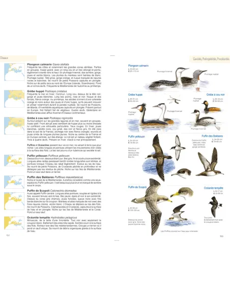 Guide illustré de la faune de Méditerranée