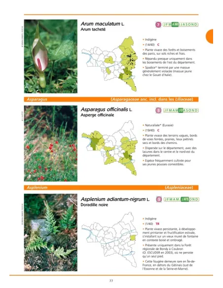 La biodiversité du département de la Seine Saint Denis - Atlas de la flore sauvage