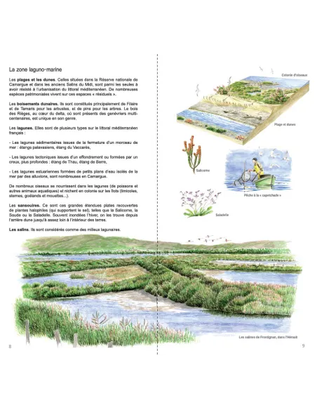 Guide illustré des Oiseaux de Camargue, de Crau et du littoral méditerranéen