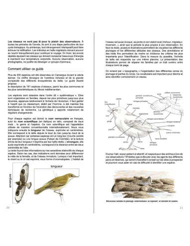 Guide illustré des Oiseaux de...