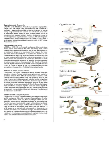 Guide illustré des Oiseaux de...