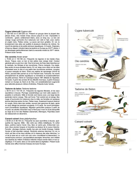Guide illustré des Oiseaux de Camargue, de Crau et du littoral méditerranéen