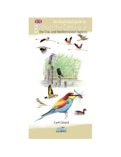 An illustrated guide to Birds of the Camargue, the Crau and Mediterranean lagoons