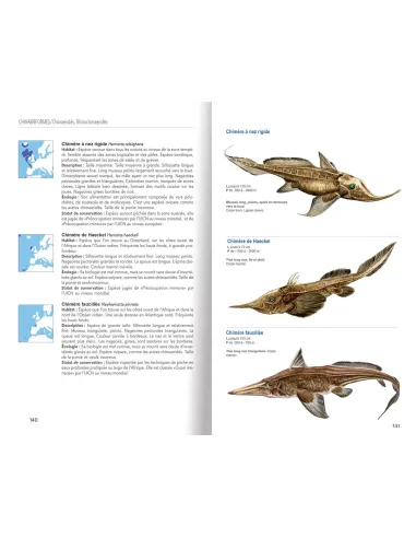 Guide des Requins, Raies et Chimères...