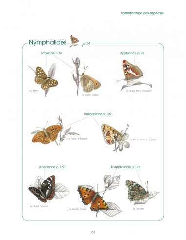 Les papillons de jour d'Île-de-France...