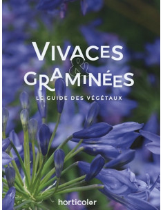 Vivaces & graminées - Le guide des végétaux