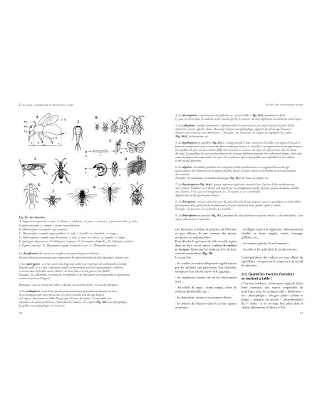 Connaître, comprendre et protéger la forêt – 2e édition