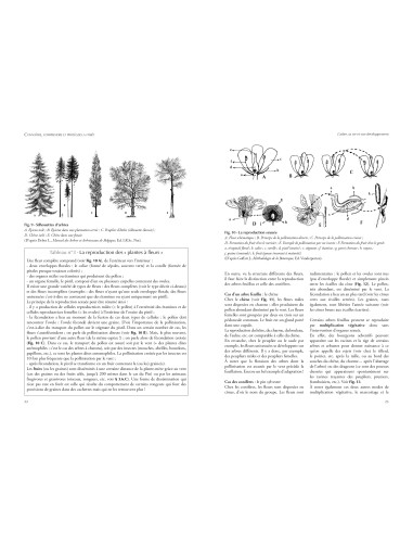 Connaître, comprendre et protéger la forêt – 2e édition