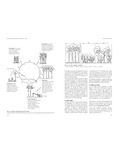 Connaître, comprendre et protéger la forêt – 2e édition