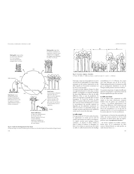 Connaître, comprendre et protéger la forêt – 2e édition