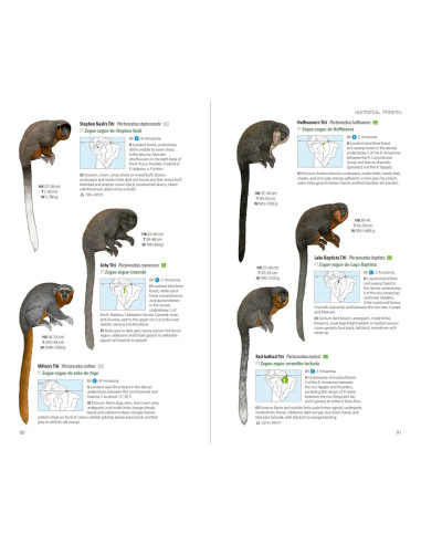 Neotropical Primates