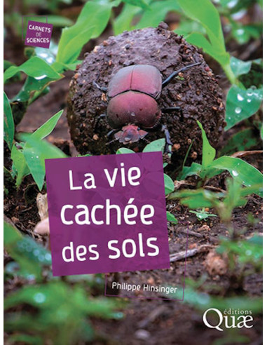 La vie cachée des sols