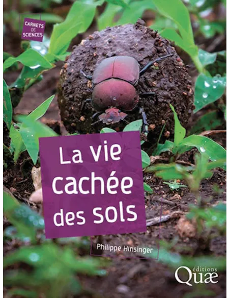 La vie cachée des sols