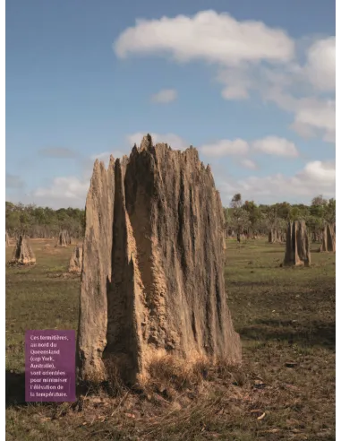 La vie cachée des sols