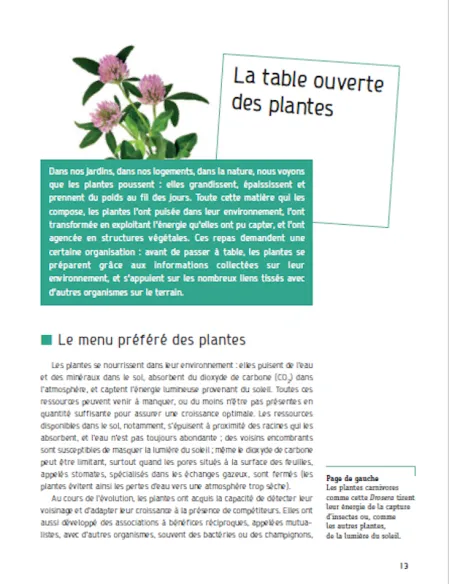 Le langage silencieux des plantes