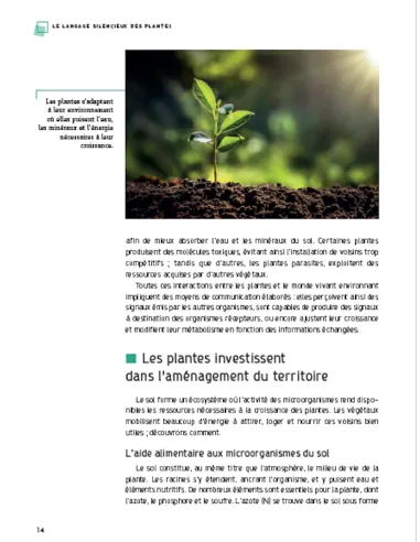 Le langage silencieux des plantes