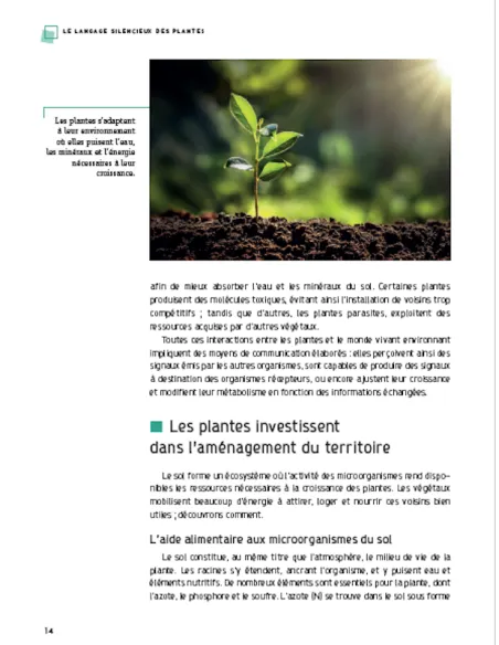 Le langage silencieux des plantes