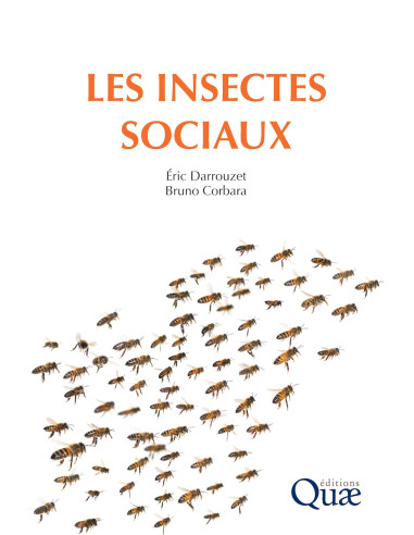 Les insectes sociaux