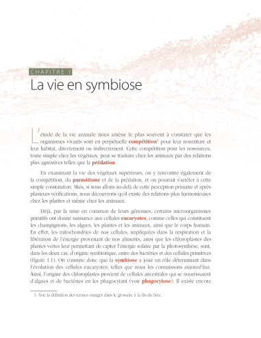 Les mycorhizes - L'essor de la nouvelle révolution verte