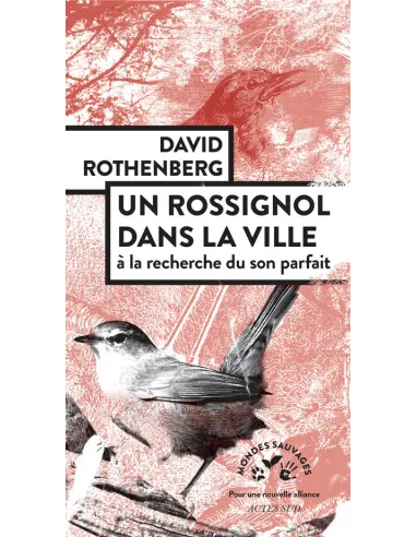 Un Rossignol dans la ville - A la recherche du son parfait
