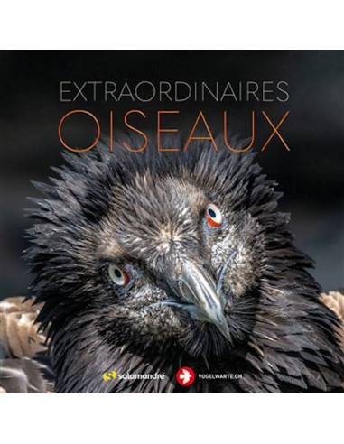 Extraordinaires oiseaux