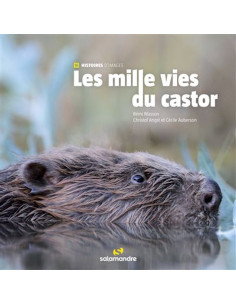 Les mille vies du castor