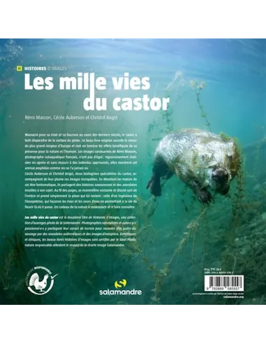 Les mille vies du castor