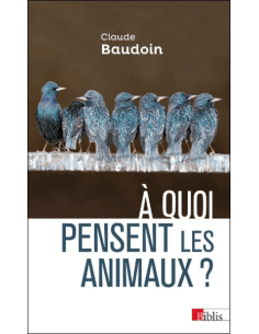 À quoi pensent les animaux ?