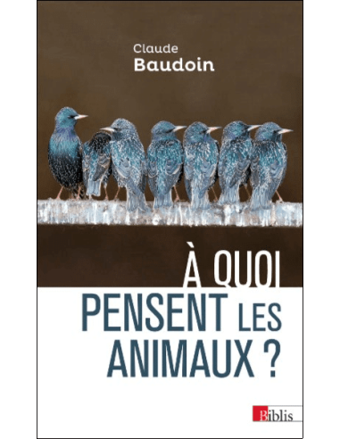 À quoi pensent les animaux ?