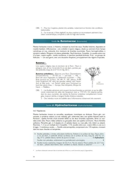 Nouvelle Flore de la Belgique, du Grand-Duché de Luxembourg, du Nord de la France et des Régions voisines
