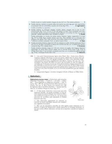 Nouvelle Flore de la Belgique, du Grand-Duché de Luxembourg, du Nord de la France et des Régions voisines