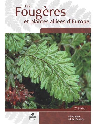 Les Fougères et plantes alliées d'Europe (2ème édition)