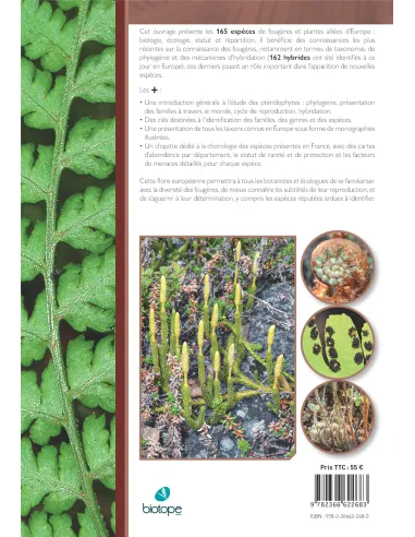 Les Fougères et plantes alliées...