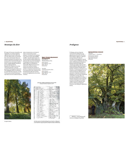 Arbres remarquables du Morbihan