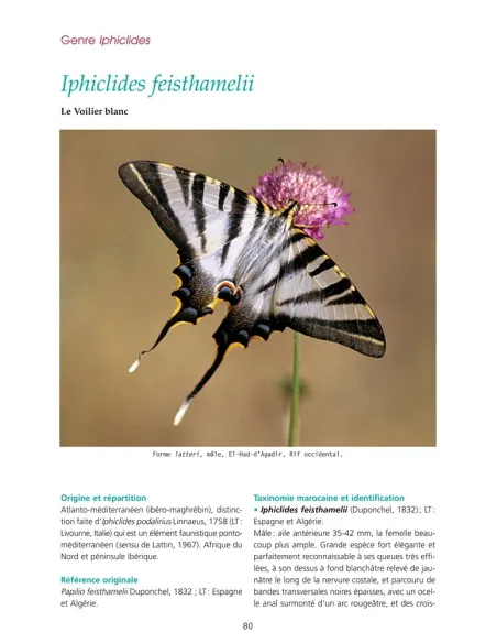 Les Papillons de jour du Maroc - Guide d’identification et de bio-indication