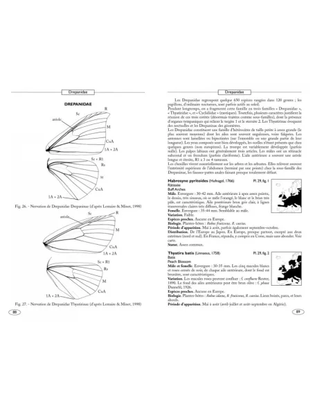 Papillons de nuit d'Europe - Volume 1 : Bombyx, Sphinx, Ecailles