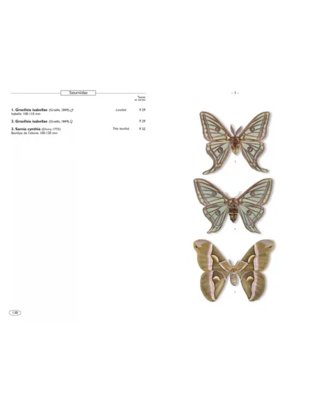 Papillons de nuit d'Europe - Volume 1 : Bombyx, Sphinx, Ecailles