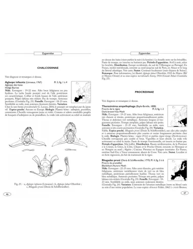 Papillons de nuit d'Europe - Volume 3